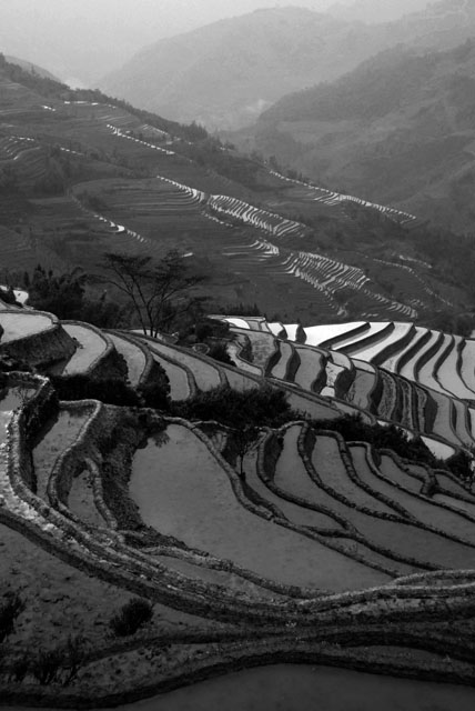 1133_YuanYang@YunNan