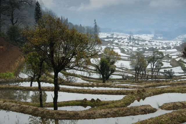 1135_YuanYang@YunNan