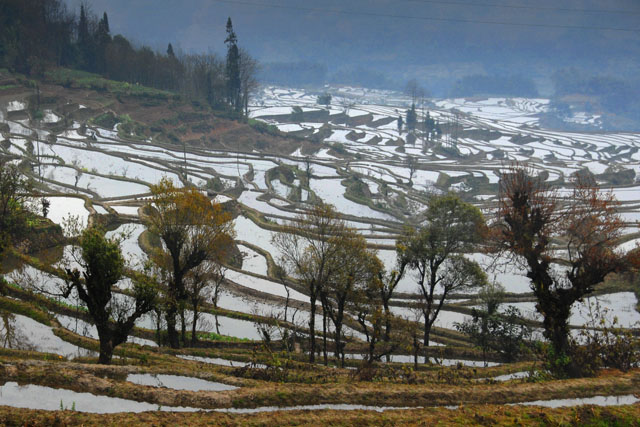 1136_YuanYang@YunNan