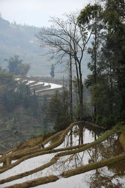 1203_YuanYang@YunNan