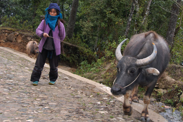 1211_YuanYang@YunNan