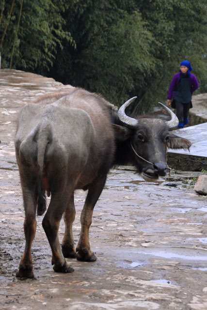 1216a_YuanYang@YunNan