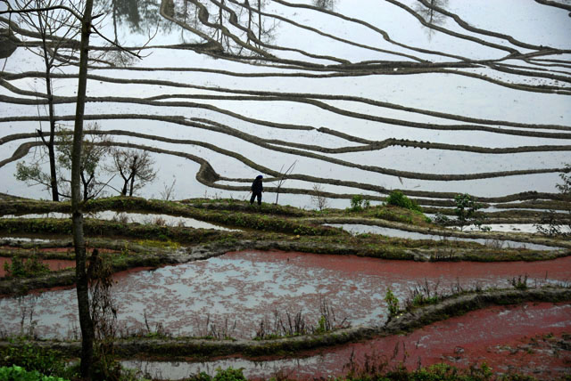 1223_YuanYang@YunNan
