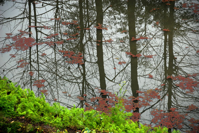 1241_YuanYang@YunNan