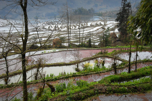 1244_YuanYang@YunNan