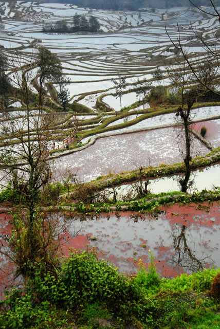 1256_YuanYang@YunNan
