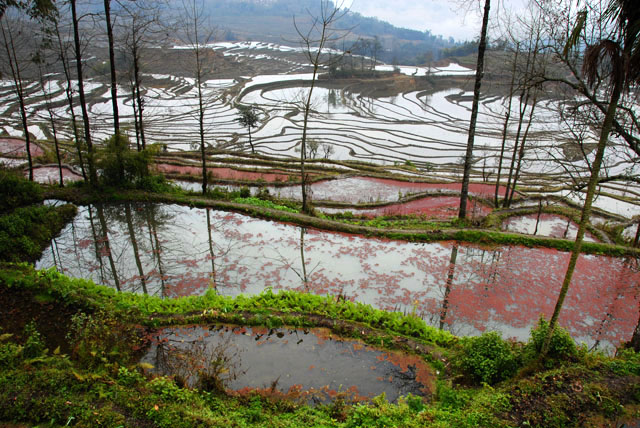 1276_YuanYang@YunNan