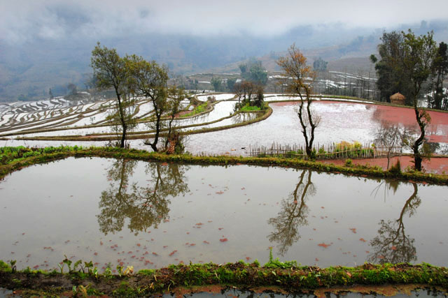 1300_YuanYang@YunNan