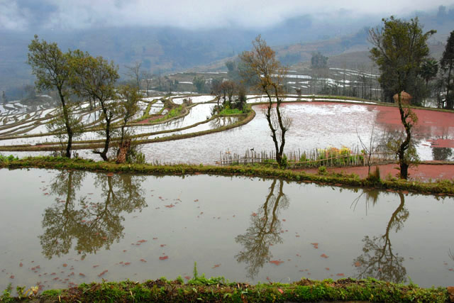 1301_YuanYang@YunNan
