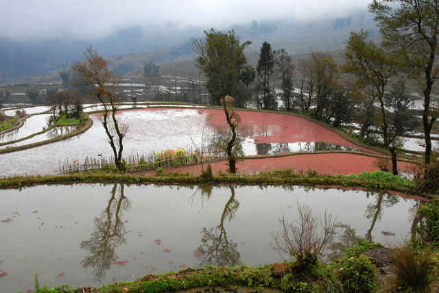 1303_YuanYang@YunNan