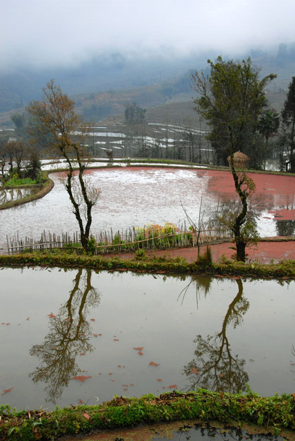 1305_YuanYang@YunNan
