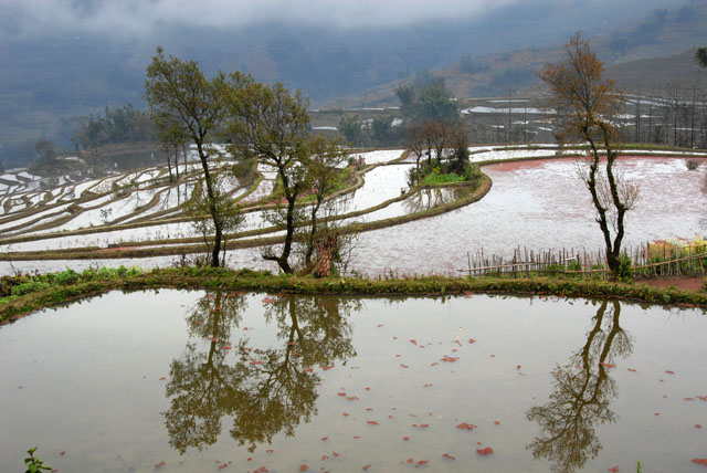 1309_YuanYang@YunNan