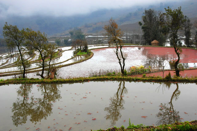 1311_YuanYang@YunNan
