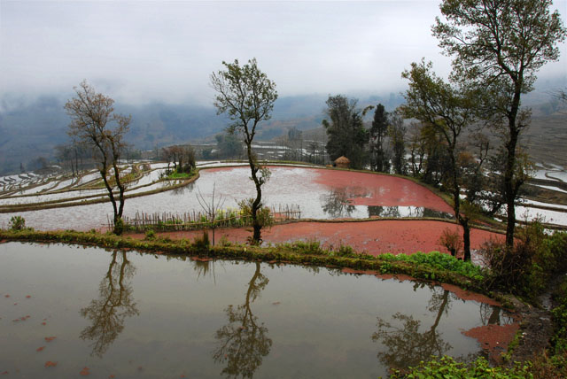 1315_YuanYang@YunNan