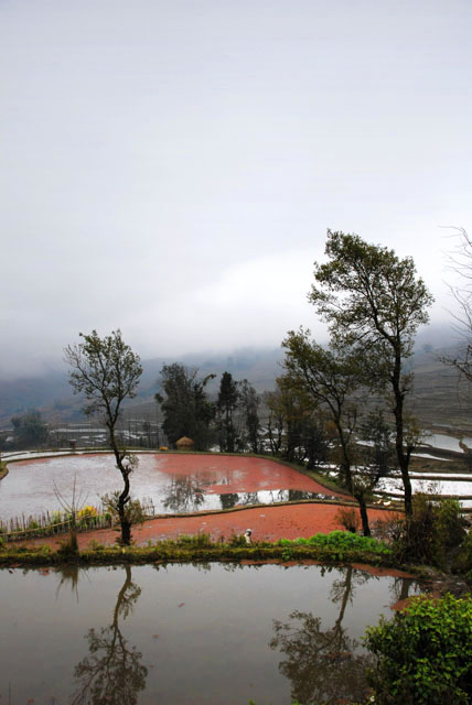 1325_YuanYang@YunNan
