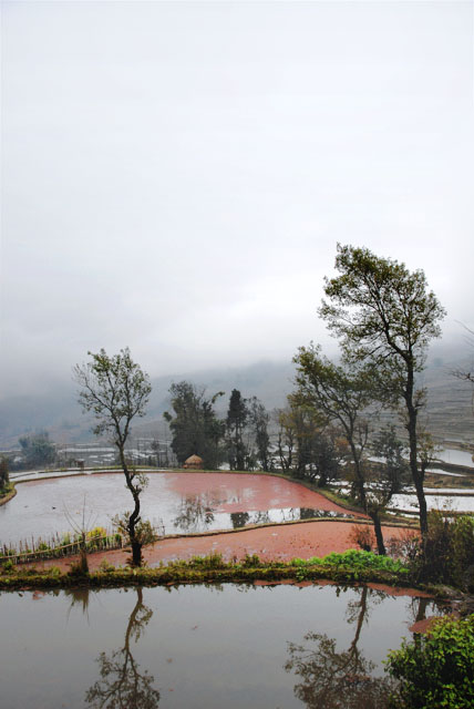 1328_YuanYang@YunNan