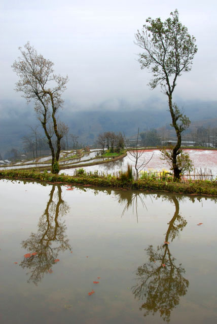 1332_YuanYang@YunNan