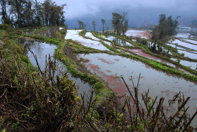 1352_YuanYang@YunNan
