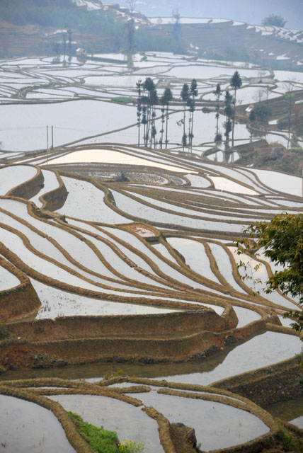 1482_YuanYang@YunNan
