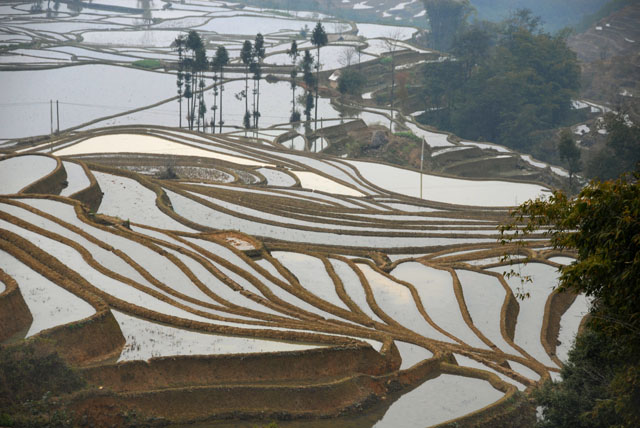 1486_YuanYang@YunNan