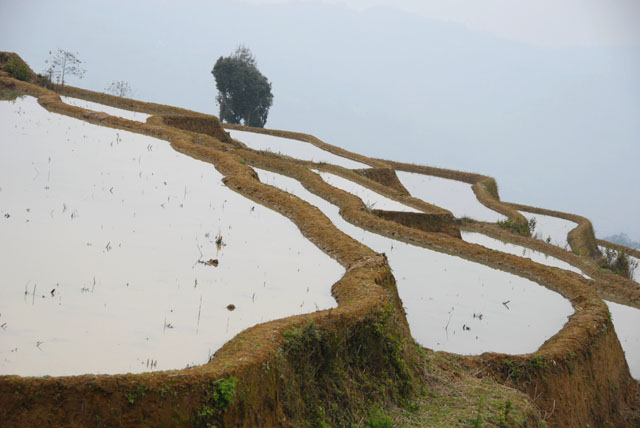 1487_YuanYang@YunNan