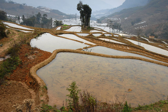 1488_YuanYang@YunNan