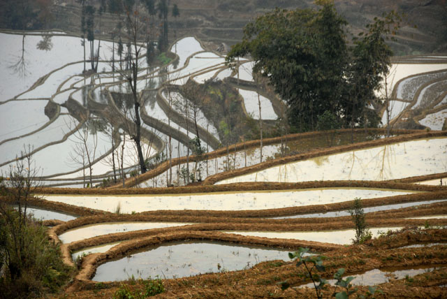 1490_YuanYang@YunNan