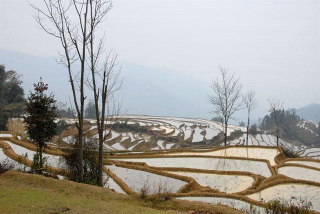 1493_YuanYang@YunNan