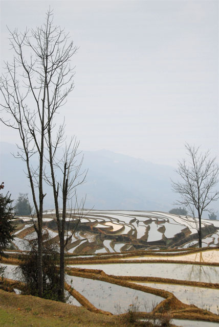1498_YuanYang@YunNan