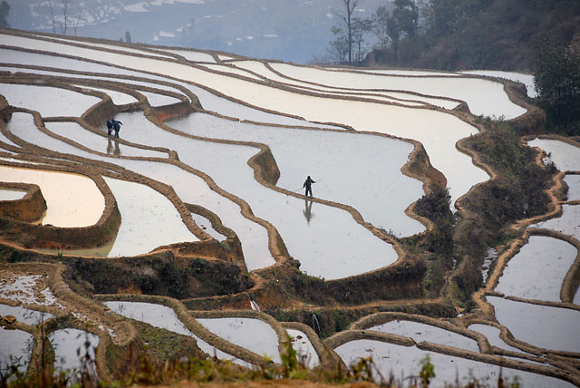 1503_YuanYang@YunNan