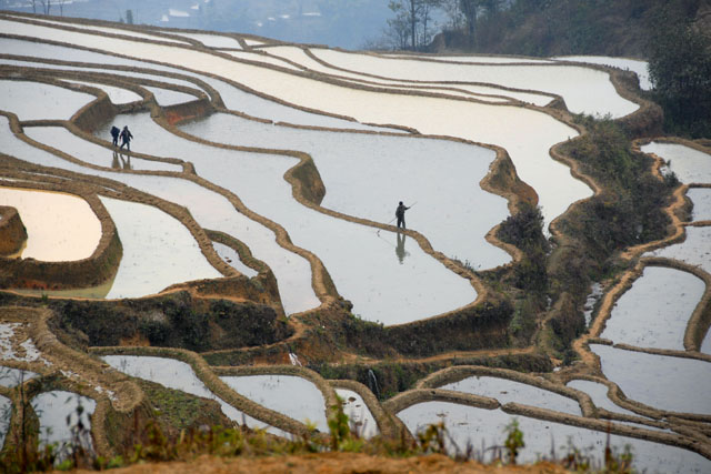 1504_YuanYang@YunNan