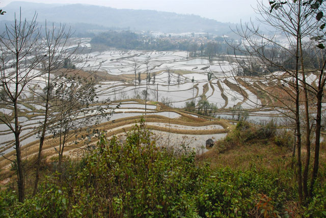 1514_YuanYang@YunNan