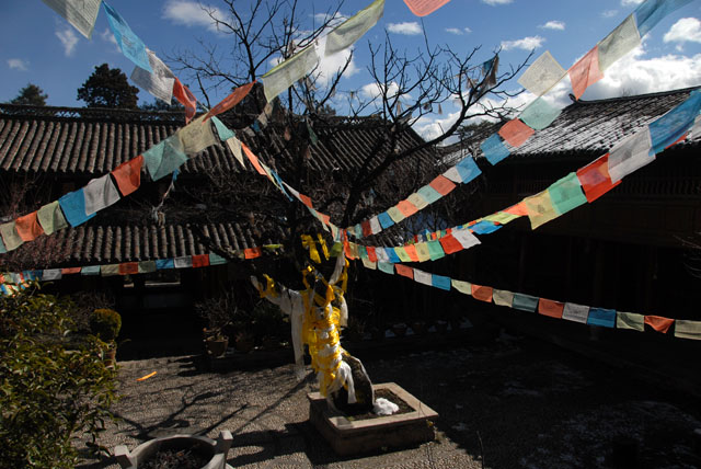 1608_LiJiang@YunNan