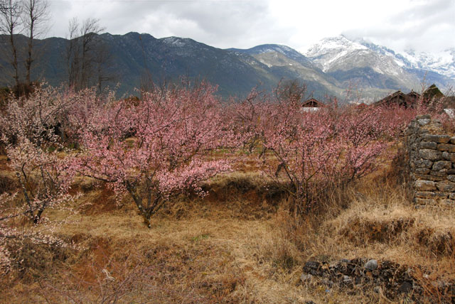 1610_LiJiang@YunNan
