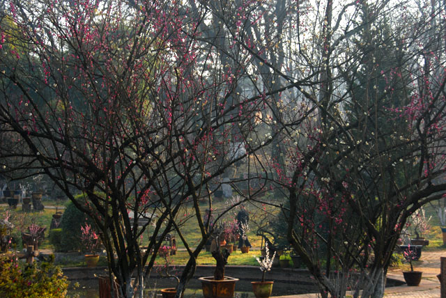 2224_KunMing