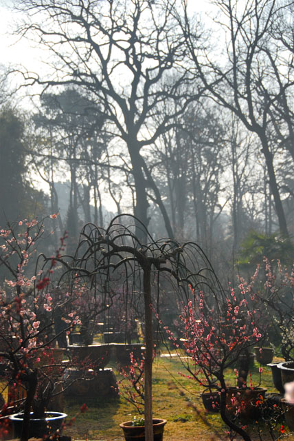 2231_KunMing