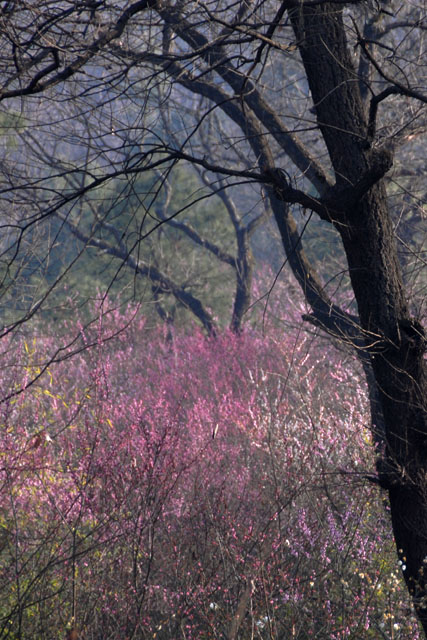 2252_KunMing