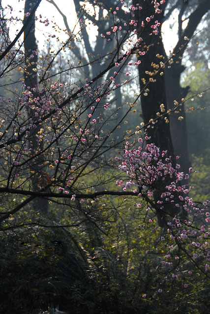 2259_KunMing