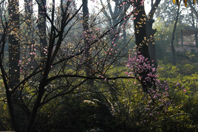 2260_KunMing