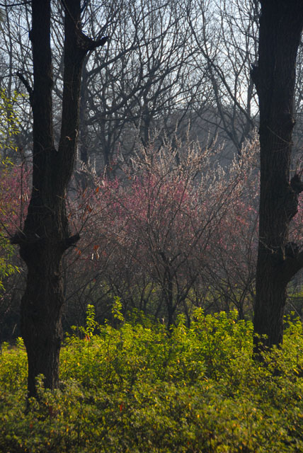 2273_KunMing