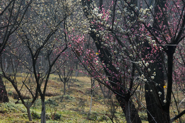 2306_KunMing