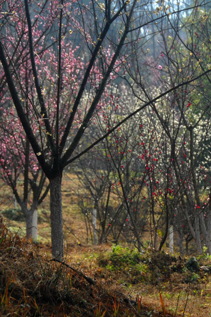 2307_KunMing