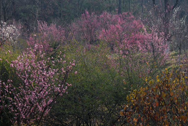 2315_KunMing