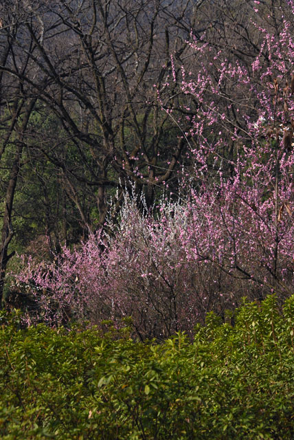 2323_KunMing