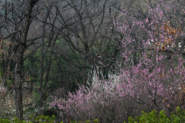 2333_KunMing