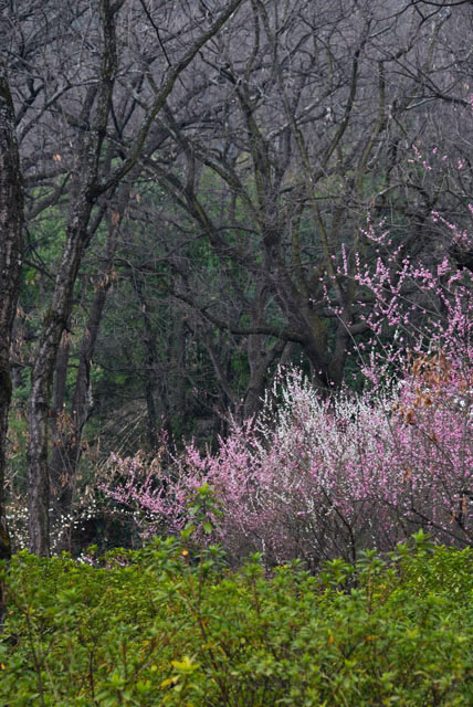 2336_KunMing