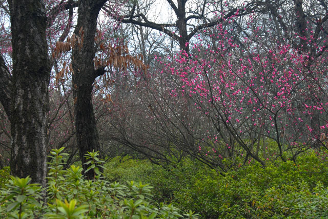 2340_KunMing