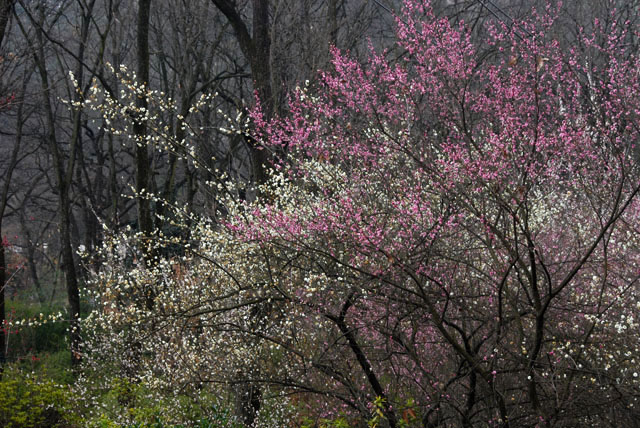 2353_KunMing