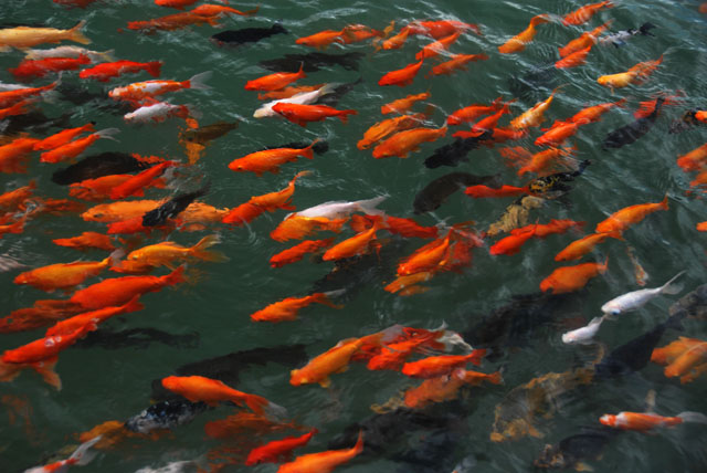 2447_KunMing