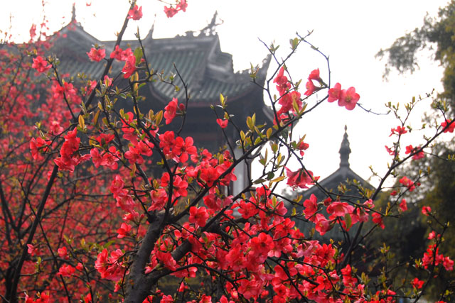2947_ChengDu